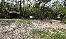 Jeziorko z dzieciństwa zamieniło się w kałużę