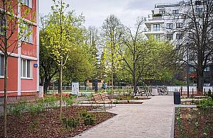 Zielony skwer przy Broniewskiego. Nowe alejki, ławki i tysiące roślin
