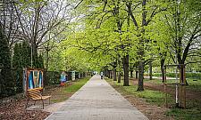 Zielony skwer przy Broniewskiego. Nowe alejki, ławki i tysiące roślin