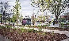 Zielony skwer przy Broniewskiego. Nowe alejki, ławki i tysiące roślin