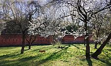 Budowa kładki ruszyła. Czy protest jeszcze ma sens?