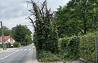 Ten chodnik to symbol Białołęki. Na co czekają władze dzielnicy i ZDM?