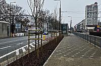 Kolejna metamorfoza placu Wilsona. Nowa ławka, poidełko i kwitnące krzewy