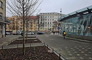 Kolejna metamorfoza placu Wilsona. Nowa awka, poideko i kwitnce krzewy