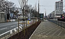 Kolejna metamorfoza placu Wilsona. Nowa ławka, poidełko i kwitnące krzewy