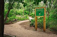 Na Bemowie powstał ogród biocenotyczny. Co tam znajdziemy?