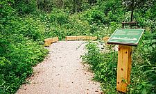 Na Bemowie powstał ogród biocenotyczny. Co tam znajdziemy?