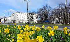 Będzie więcej kwiatów w alei Wojska Polskiego