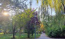 Stół i toi-toi na Sadach Żoliborskich. Małe sprawy, duże emocje