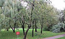 Stół i toi-toi na Sadach Żoliborskich. Małe sprawy, duże emocje