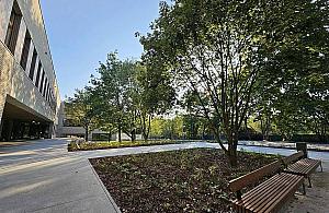 Nowe parki na Białołęce. Mieszkańcy wybrali zielone projekty