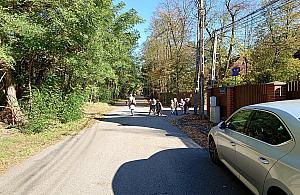 Choszczówka walczy o wyniesione skrzyżowanie. "Progi nie wystarczą"