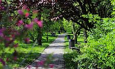 Estetyka ważna dla mieszkańców. Wzięli sprawy w swoje ręce