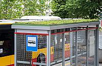 Bemowo zyska nowe wiaty przystankowe. Dzięki budżetowi obywatelskiemu