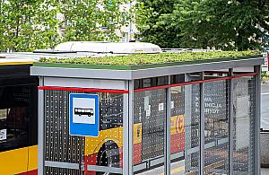 Bemowo zyska nowe wiaty przystankowe. Dzięki budżetowi obywatelskiemu