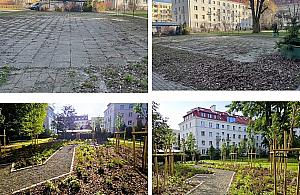 Zielona rewolucja na Mokotowie. Nowe podwórka i ulice pełne drzew