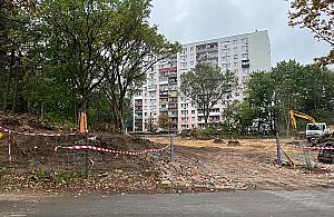 Wycinka w Legionowie. "Gdyby to deweloper budował, byłby wielki protest"