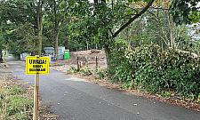 Wycinka w Legionowie. "Gdyby to deweloper budował, byłby wielki protest"