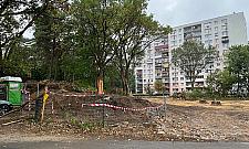 Wycinka w Legionowie. "Gdyby to deweloper budował, byłby wielki protest"