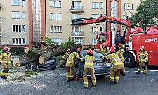 Drzewo runęło na auta. Dwie osoby w środku