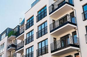 Pluskwy w blokach i kamienicach. Warszawa w obliczu plagi