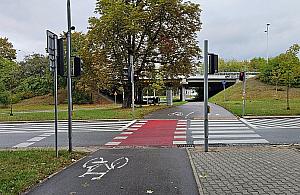 Coraz więcej zwierząt, coraz więcej znaków