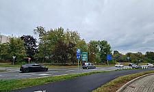 Coraz więcej zwierząt, coraz więcej znaków