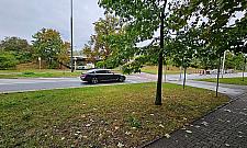 Coraz więcej zwierząt, coraz więcej znaków