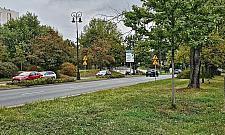 Coraz więcej zwierząt, coraz więcej znaków