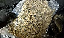 Magazyn narkotyków w Śródmieściu. Obywatel Omanu i Polka zatrzymani