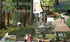 Leśny skwer na Wrzecionie. Zielony azyl wywołał burzę