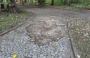 Remont alejek w parku na Powiślu. Po 70 latach