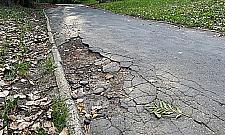 Remont alejek w parku na Powiślu. Po 70 latach