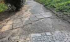 Remont alejek w parku na Powiślu. Po 70 latach