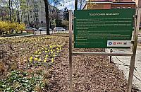 Tysiące roślin zamiast betonu. Studenci SGGW odmienili podwórko