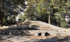 Tysiące roślin zamiast betonu. Studenci SGGW odmienili podwórko