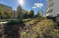 Dwa nowe parki na Służewcu