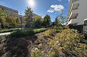 Dwa nowe parki na Służewcu