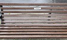 Władze Białołęki odwiedziły swoją ławkę w Berlinie