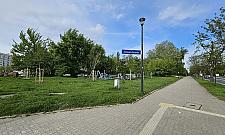 Żoliborz zakwitnie. Nowe rośliny w parkach i na skwerach