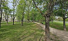 Żoliborz zakwitnie. Nowe rośliny w parkach i na skwerach