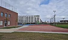 Trawa naturalna czy sztuczna? "Za rok będzie klepisko"