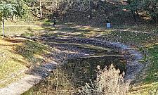 Fosa w Forcie Bema wysycha. Mieszkańcy biją na alarm