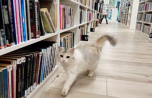 Chrzanów czeka na drugą bibliotekę. Długo poczeka