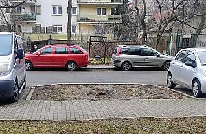 Mieszkańcy chcieli dwóch miejsc parkingowych. Burmistrz posadzi drzewo