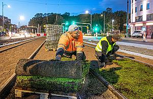 Warszawa zazielenia kolejne torowiska