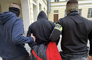 Policja rozbiła gang złodziei samochodów. Zatrzymano osiem osób