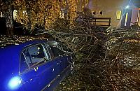 Nawałnica nad Legionowem. Strażacy interweniowali kilkanaście razy