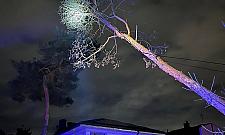 Nawałnica nad Legionowem. Strażacy interweniowali kilkanaście razy