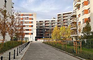 Brandysa i Hübnera po przebudowie. Pięknie i zielono, ale gdzie zaparkować?